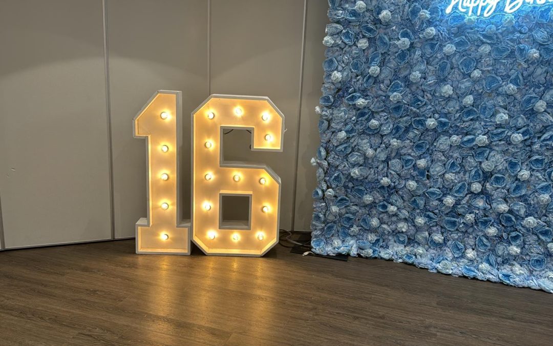 Kids Birthday Party Rentals in Caledonia